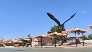 Кайтсерфинг на Павло-Очаковской косе 29.07.23