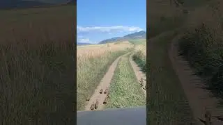 Туры в Джугарию