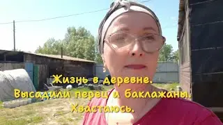 Пятница. Хороший солнечный день. Высаживаем огород. Хвастаюсь.