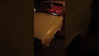газ 24. волжанка