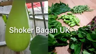 Went to visit the Shoker Bagan of Passionate Gardener UK Vlogger Oxford .#Shoker Bagan UK Oxford....