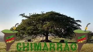 Chimarrão Declamação: Odilon Ramos
