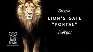 Scorpio: Lion's Gate *Portal* - Jackpot