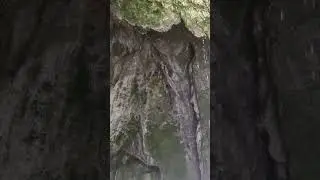 гришкина балка2