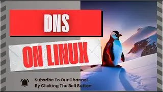 Linux DNS