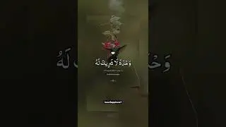 لا الٰہ الا اللّٰہ