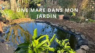 Une mare dans mon jardin