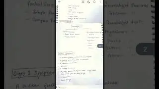 Seizures | Handwritten Notes |