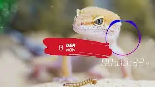 Squirm Worm - TrackTribe || Jazz & Blues Music Happy Audio (No Copyright)