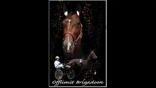 Offlimit Brigadoon