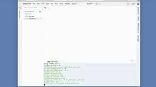 Section 1.2: “The first application”