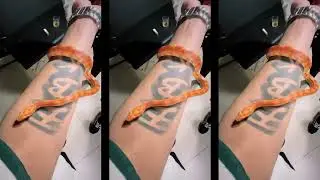 E9 ENZO - ZAZA PASS - SNIPPET