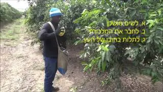 תלייה מהירה הרכבה תוך כדי תליה