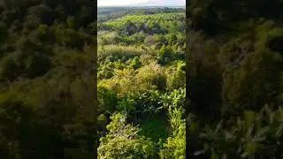 #explore #music #song #vyp #drone #djimini #vypシ #cinematic
