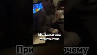 И как работать?🥲