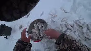 И опять плота