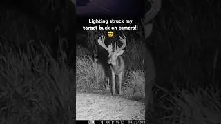 Lighting strikes my deer on camera!!😳🤯 