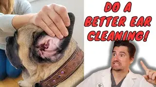 A better ear cleaning for your dog.