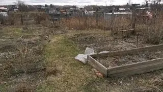 22.04.2024 маленький обход участка. Пора начинать работать!