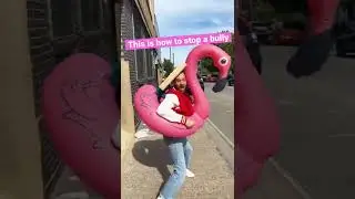 This is how to stop a bully! 🤜🦩 