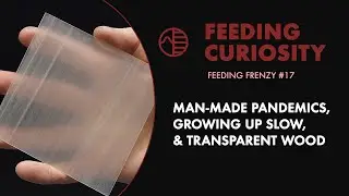 Man Made Pandemics, Growing Up Slow, and Transparent Wood | Feeding Frenzy 17