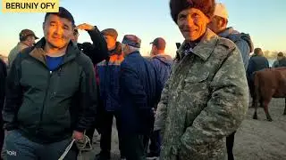 АБАЙ-ЭМКАДОС МОЛ КОЙ БОЗОРИ НАРХЛАРИ 