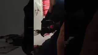 Personal talks among dog and owner 💕
