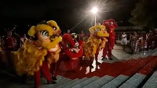 Kung Hei Fat Choy!) Китайский новый год! Танец драконов