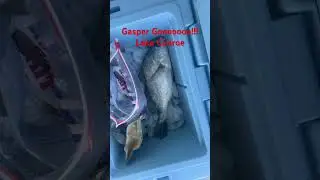 Catch and Cook Gasper Goo! Lake Conroe .