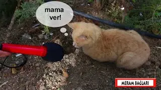 Veli Kolsuz ile Şehir Turu