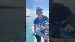 Рыба-попугай 🐠🦜 