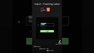 Input - Floating Label