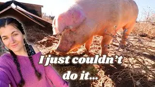 I just couldn’t do it… 😓 | Homestead VLOG