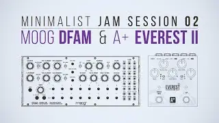 Moog DFAM & A+ by Shift Line Everest II | Minimalist Jam Session 02