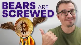 Why Crypto Bears Are Screwed | Game Changer