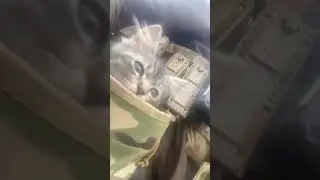 #россия #вагнер #спецназ