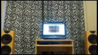 Warfedale evo 2 30  тест - Japanese RootsTakéDaké Asian Roots