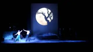 Riverdance Shivna. Nottingham 2010.