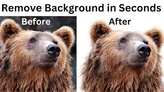 How to Remove Image Background Online for Free | Easy Step-by-Step Guide Using Remove.bg