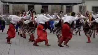 Największy hopak na świecie. Rekord Guinnessa 2015 | zycie.pl