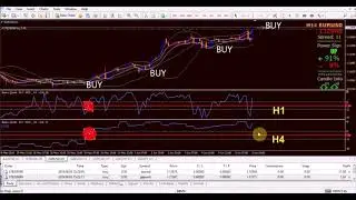 BBMA  &   BASE CURRENCY