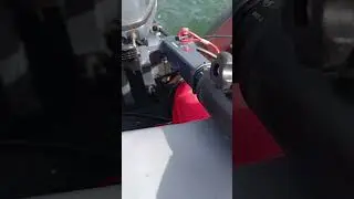 лосось на волю 