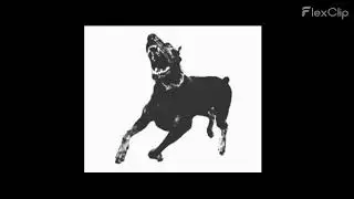 Antisocial - Wars dogs