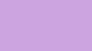 Tropical Violet Screen | 1 HOUR of TROPICAL VIOLET | 60 Minutes of Tropical Violet