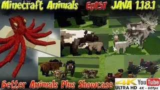 Better Animals Plus Mod Animal Showcase Minecraft 1.18.1 4k 60FPS Animals in Minecraft Ep157
