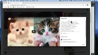 Dreamweaver CC 2020 - How to embed Youtube Video