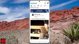 How To Find Facebook Memories - Desktop and Mobile