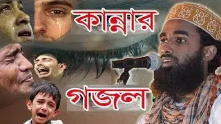 সবাই কাঁদে এই গজলটি শুনে II বলে দাও রাসুলাল্লাহ দেখা পাব মরনেII Abdul munim khan