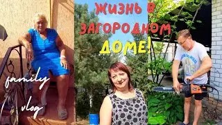 Выписали из больницы. Огород в сентябре, яблоню убрали #ukraine #жизньзагородом