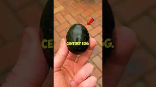 Trying A 100 Year Old Egg 🥚